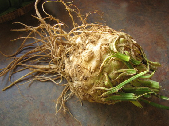 Potato and Celery Root Gratin - Culinary Ginger