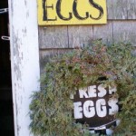 Fresh Eggs sign blackwater fm_1
