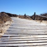 IMG_0390_01
