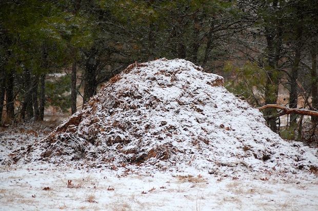 compost pile in snow