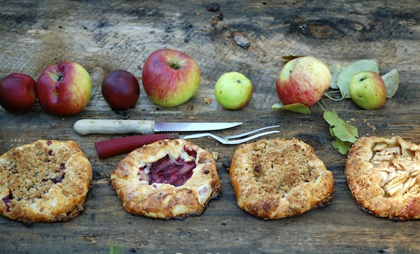 MINI PIES: Sweet and Savory Recipes, Electric Pie Maker' by Dodge