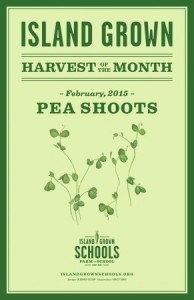 HoM_Poster_Pea-Shoots_February_2015_WEB-291x450