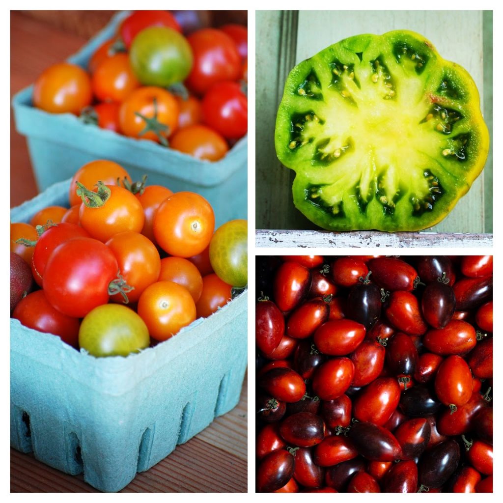https://sixburnersue.com/cooking-fresh-eating-green/wp-content/uploads/2021/04/Tomato-Collage-1024x1024.jpg
